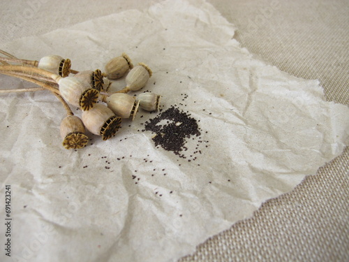 Seeds from common poppy and seed capsules photo