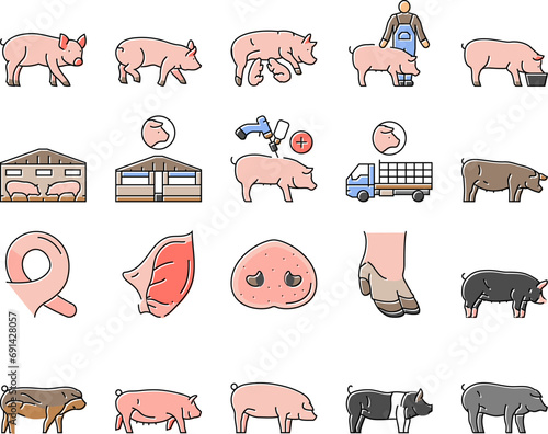 pork pig farm animal piglet hog icons set vector. swine livestock, domestic bacon, cute hand boar, agriculture little, happy vintage pork pig farm animal piglet hog color line illustrations