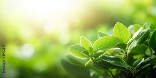 Close-up of a plant with green leaves and blurry background, nature, Generative AI