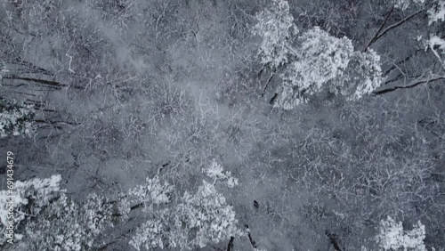 Aerial Drone Flight Over Snow Covered Forest in Winter