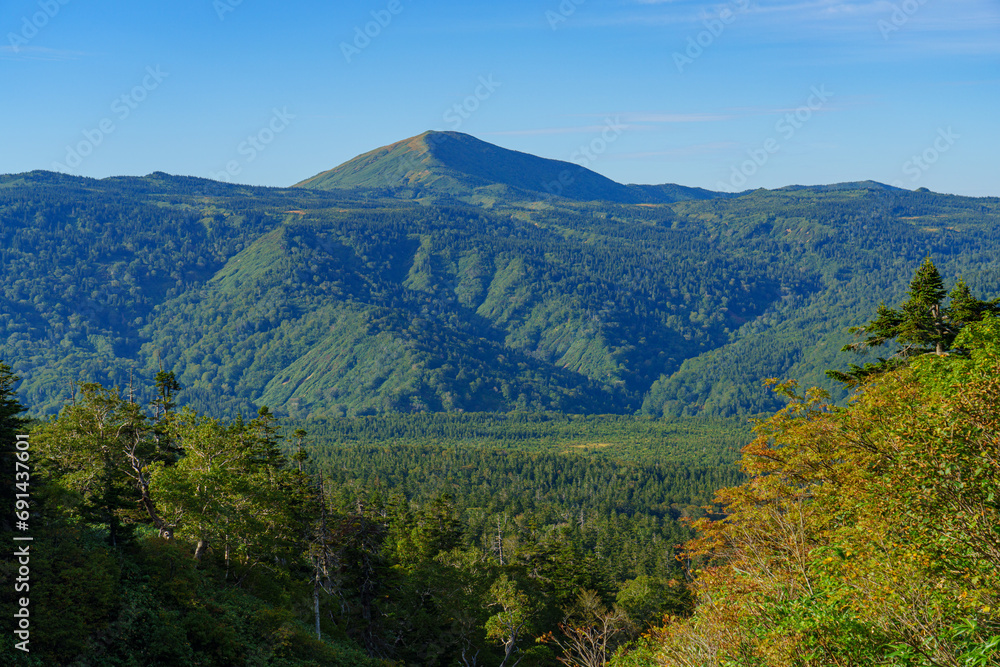 夏の八甲田山　日本百名山登山