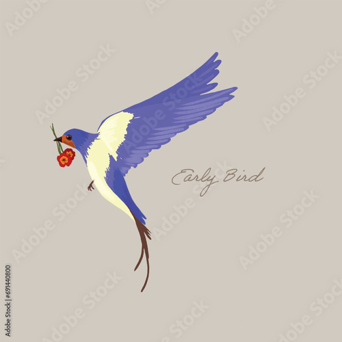 Illustration of a Blue Early Bird Banner