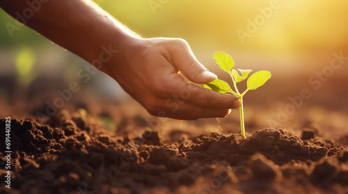 close up of Hands planting green plant on soil. Earth Day and Ecology and environment concept.
