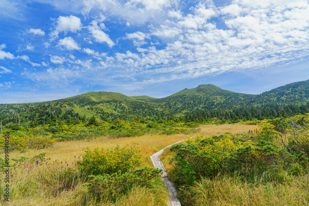 Naklejka premium 夏の八甲田山の毛無岱 青森県青森市観光