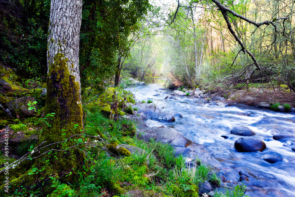 Rio Arenal en primavera Rio Arenal en primavera
