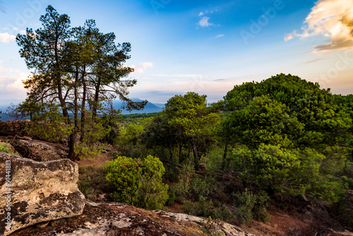 Pinares y rocas de granito.