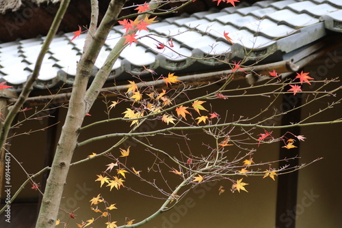 秋の鎌倉。一条恵観(ｴｶﾝ)山荘の紅葉。紅葉と日本家屋。 photo