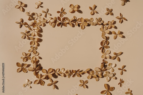 Elegant delicate dried star flowers on neutral tan beige background. Blank mockup copy space template. Flat lay, top view aesthetic flower composition