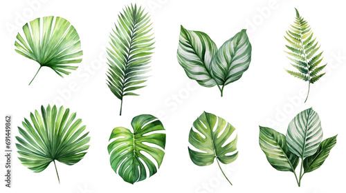 Exotic plants  tropical plant leaves  palm leaves and monstera on white background  vector watercolor illustration Palm Sunday