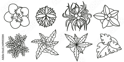 Set of houseplants outline drawings top view