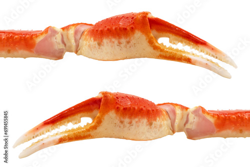 Cooked Peruvian Southern King crab leg isolated on a white background. Crab claws isolated on white background photo