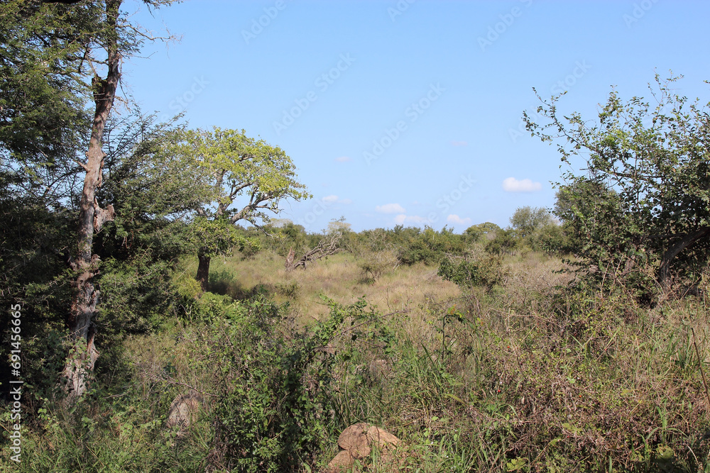 Ntandanyathi Hide / Ntandanyathi Hide / Ntandanyathi Hide / Ntandanyathi Hide /