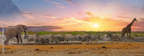 Dream Safari -Sunsetting over the African plains with Elephant, Giraffe, Zebra and Oryx.