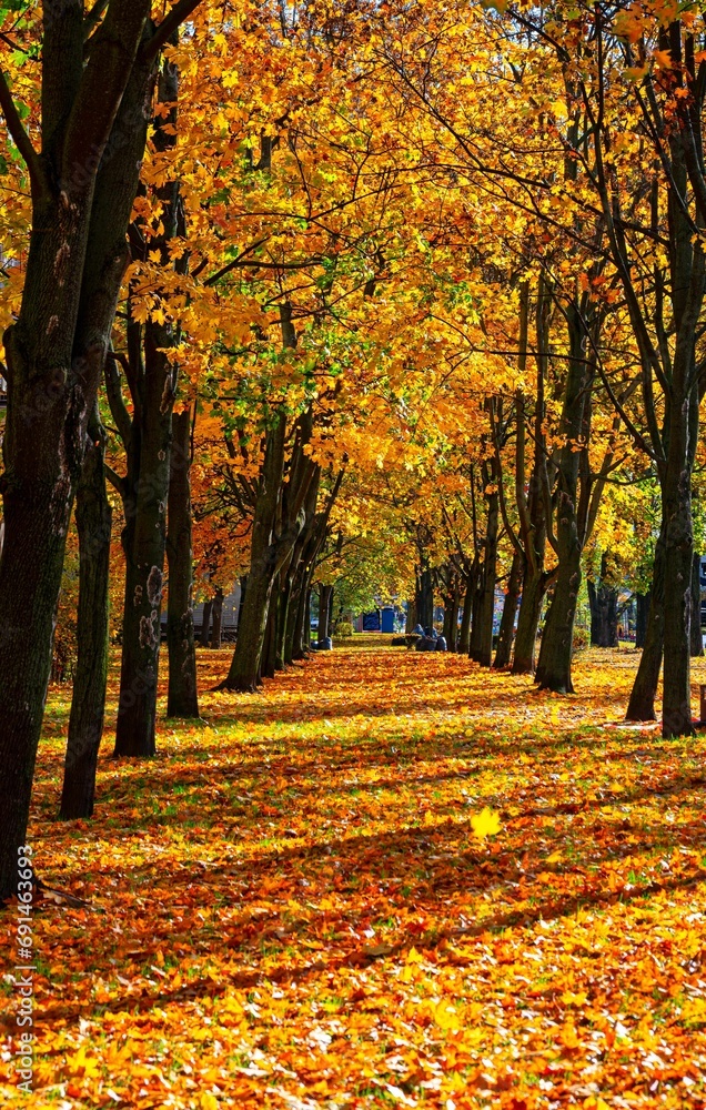 Gardens. photo Wojciech Fondalinski