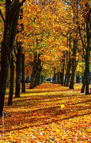 Obraz na płótnie Gardens. photo Wojciech Fondalinski w salonie