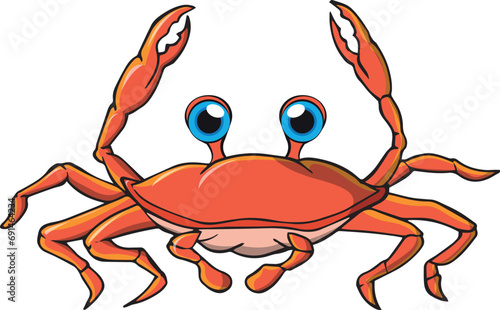 Beautiful colorful sea crab swimming