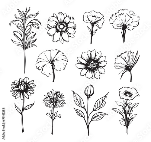 Vector collection of hand drawn plants. Botanical set of sketch flowers and branches. Vector illustration