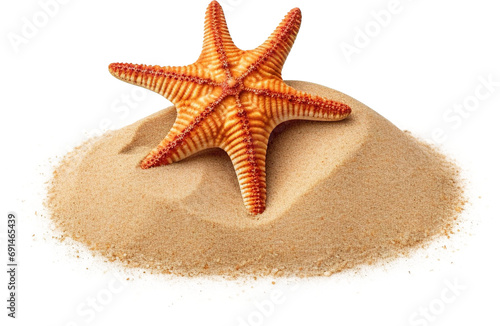 Starfish lying on sand isolated on transparent background