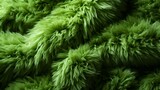 A vibrant green rug with soft fur invites you to step into a cozy indoor oasis