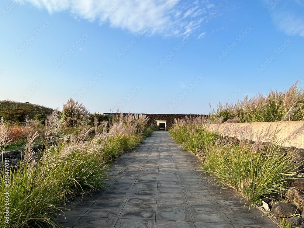 Architectural landscape in Jeju Island with reeds on both sides