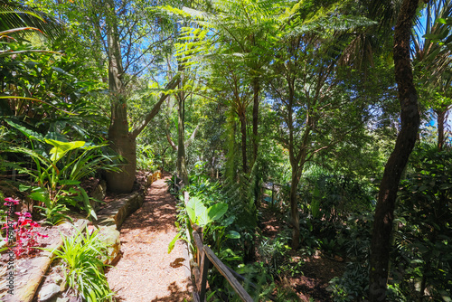 Wendy Whiteley s Secret Garden in Australia