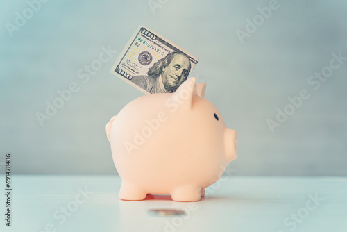 the concept of preserving and saving money. Piggy bank on white background. dollars in the piggy bank.