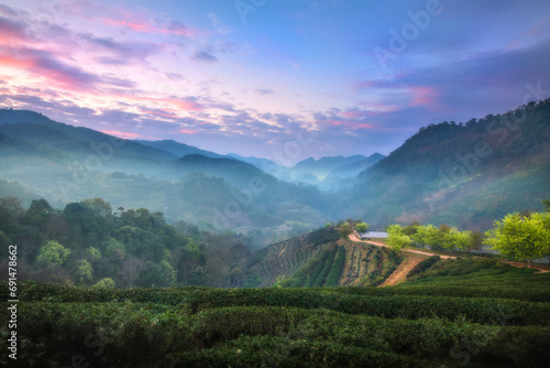 Doi Angkhang Landscape of Strawberry garden (Royal Agricultural Station) Angkhang Chiangmai Thailand. photo
