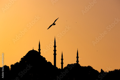 Islamic background photo. Silhouette of Suleymaniye Mosque at sunset and seagull photo