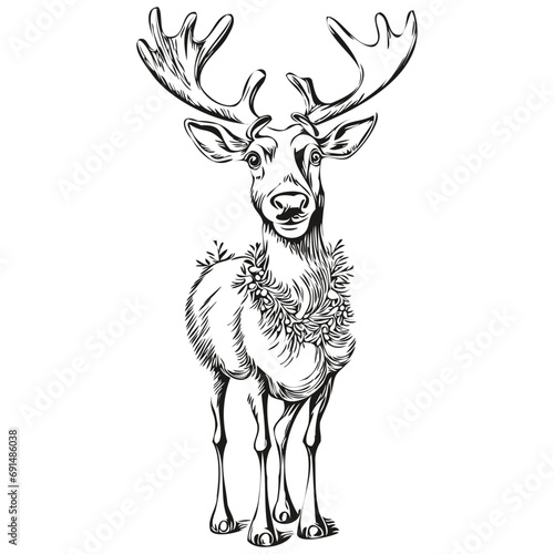 Sketch Drawing of Christmas Reindeer, deer Hand Drawn Vintage Engraved, black white Vector ink outlines template for greeting card, poster, invitation, logo