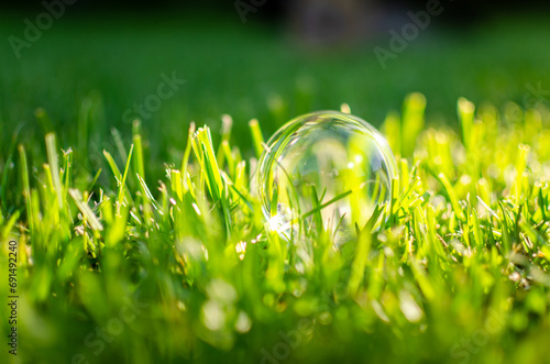 Cristal ball on grass