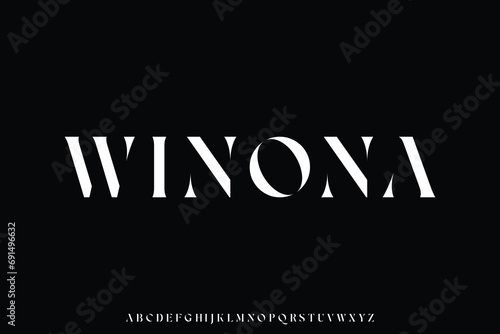 Abstract elegant stencil type alphabet display font vector. Unique serif typography