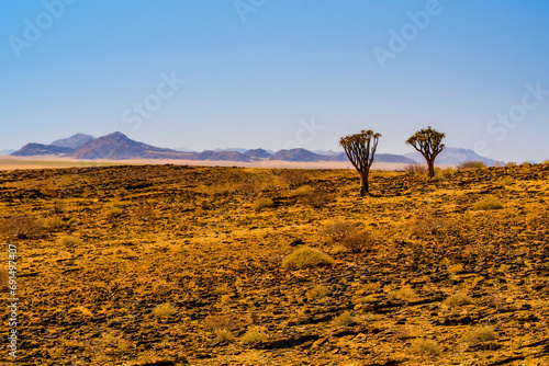 Desert landscape, Namibia