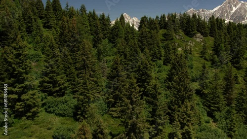 Découverte aérienne de Chamonix en été à travers la forêt photo