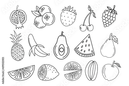 Fototapeta Naklejka Na Ścianę i Meble -  vector engraving hand drawn fruit collection