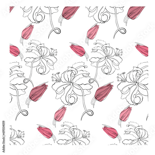 A pattern with the image of a lily flower. Hand-drawn. A linear drawing on a transparent background.