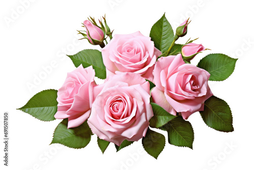 Fototapeta Naklejka Na Ścianę i Meble -  Pink rose flowers with green leaves in a floral arrangement isolated on white or transparent background.