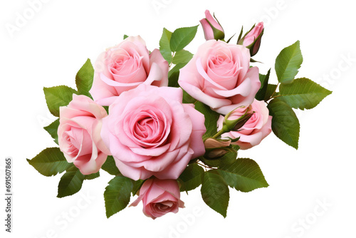 Pink rose flowers with green leaves in a floral arrangement isolated on white or transparent background. photo