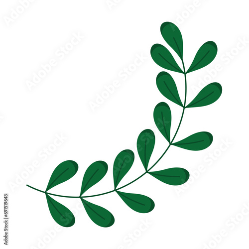 olive branch design