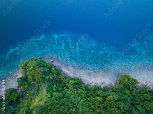 A healthy coral reef fringes a jungle-covered island near Ambon, Indonesia. This remote, tropical region supports some of the greatest marine biodiversity on Earth.