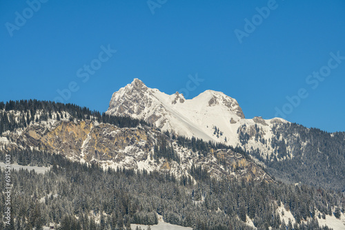 Mountain peak in the Alps. Snow-covered mountain face with coniferous forest in the sunshine and blue sky