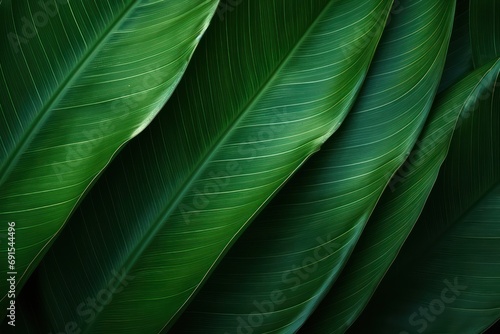 Abstract green leaf texture, nature background