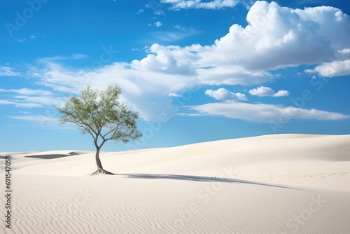 Beautiful desert landscape of white sand with a lonely tree photo