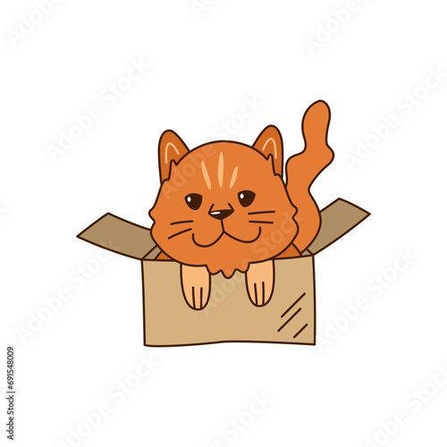 Cute little red cat in a cardboard box. Shelter a pet. Kawaii vector illustration.