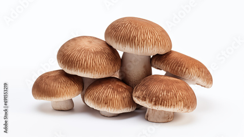 fresh mushroom pictures 
