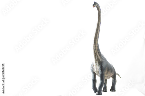 beautiful and majestic toy brachiosaurus with white background for advertising and notices