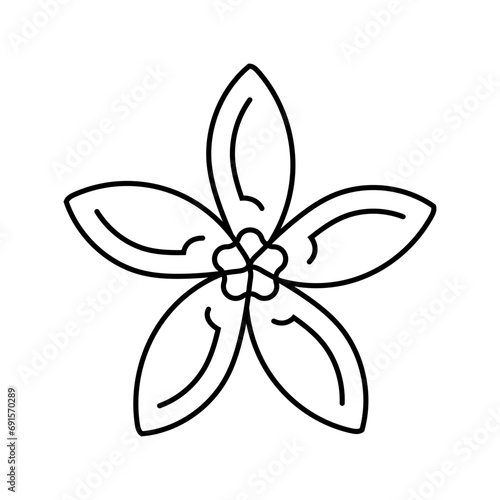 jasmine flower spring line icon vector. jasmine flower spring sign. isolated contour symbol black illustration