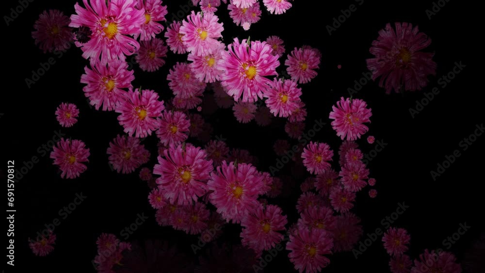 movement through rotating flowers on a black background. abstract animation. 3d render movement through rotating flowers on a black background. abstract animation. 3d render