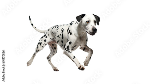  a Dalmatian running in a 3/4 view, PNG, isolated and transparent Pet-themed, photorealistic illustration. Generative ai