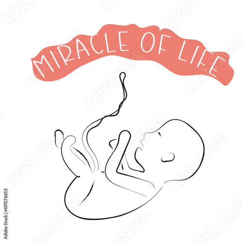 hand drawn line art vector of miracle of life. a new life concept. human life cycle