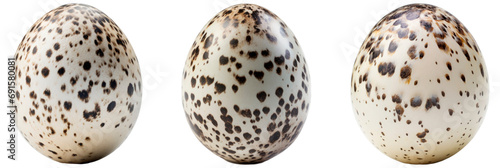Set of quail egg, isolated on transparent background